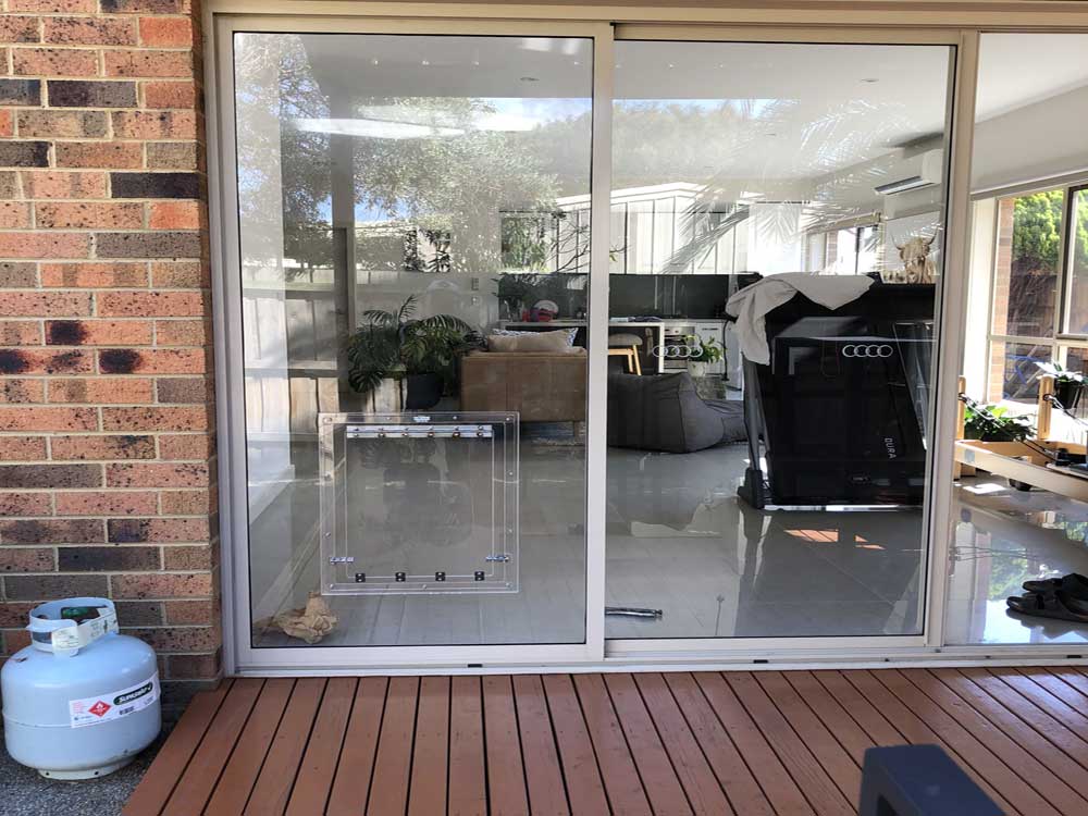 Large Dog Door in Glass for Dromana house